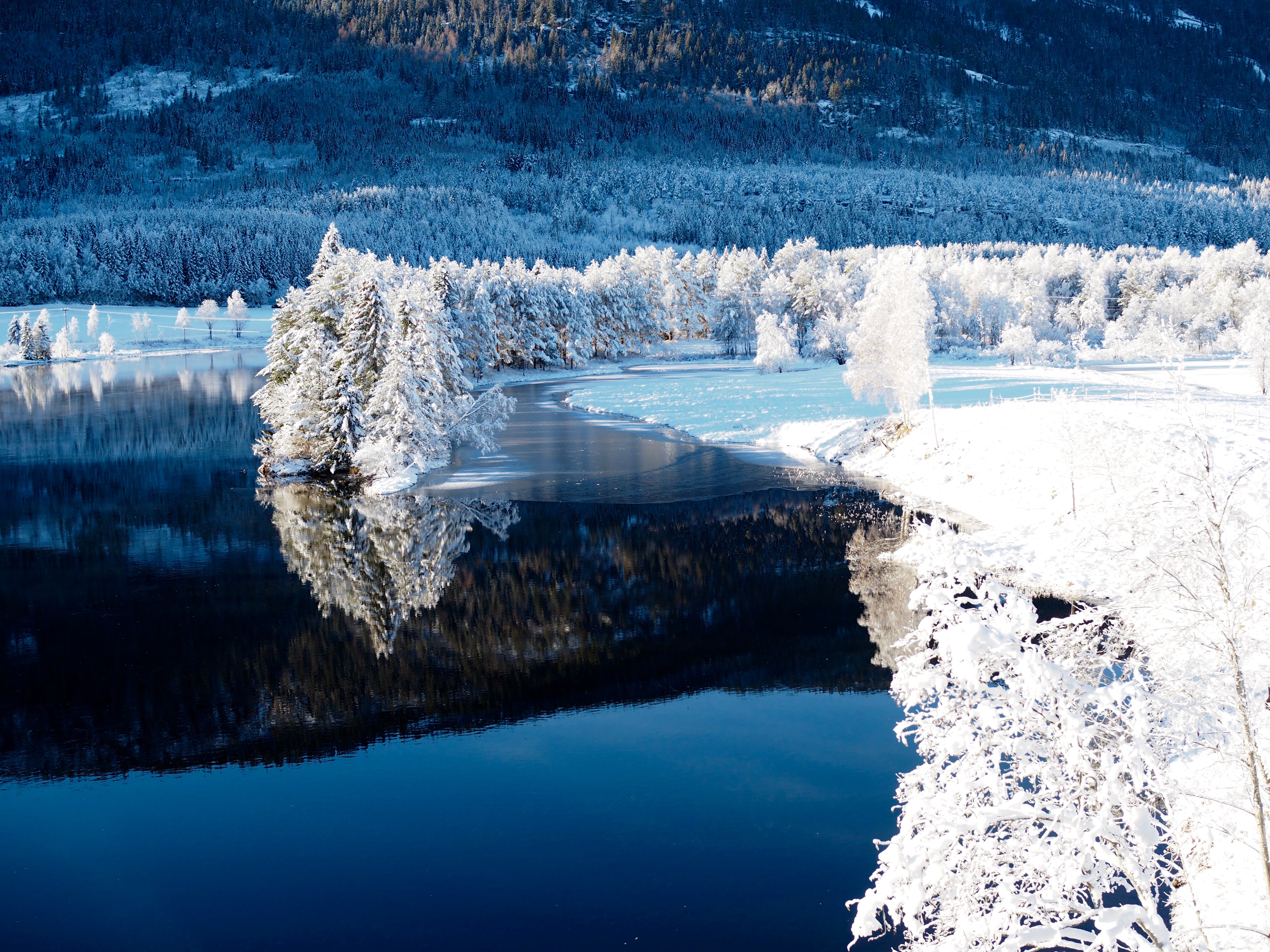 Winter