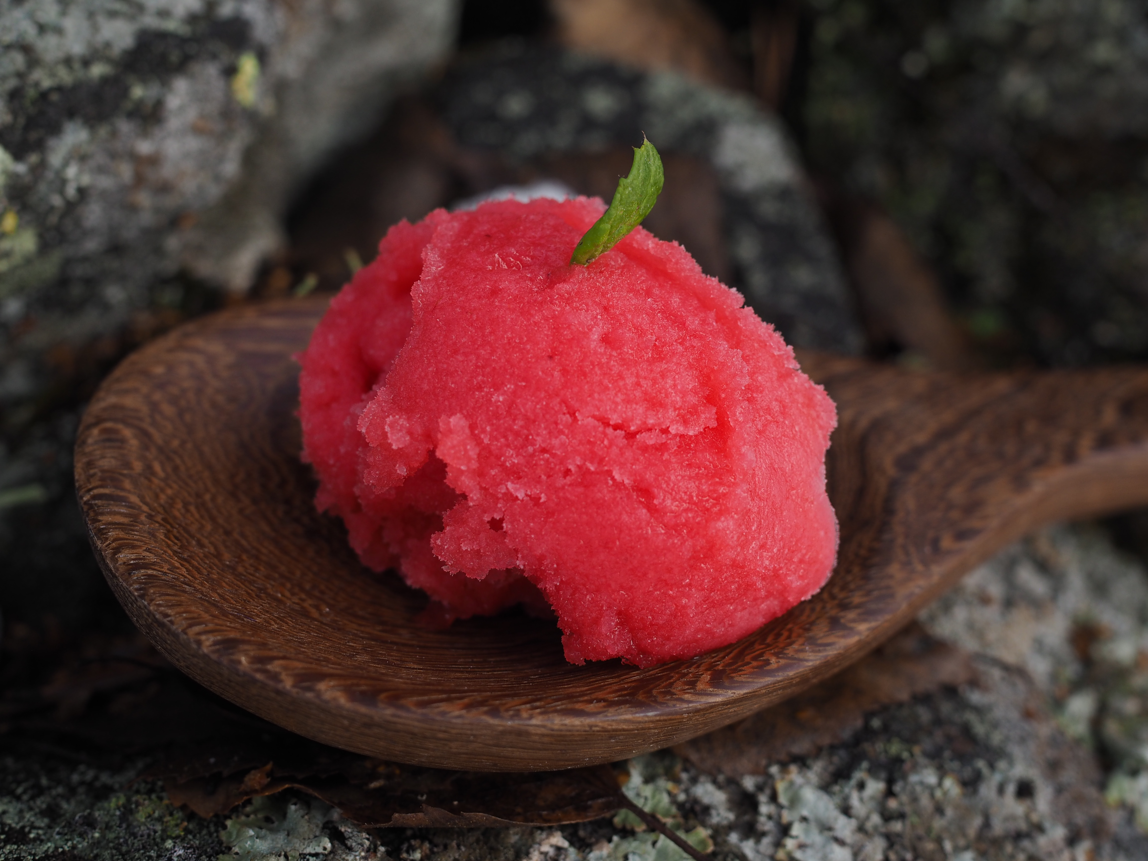 Aquavit, Raspberry & Cardamom Sorbet (Akevittsorbet)