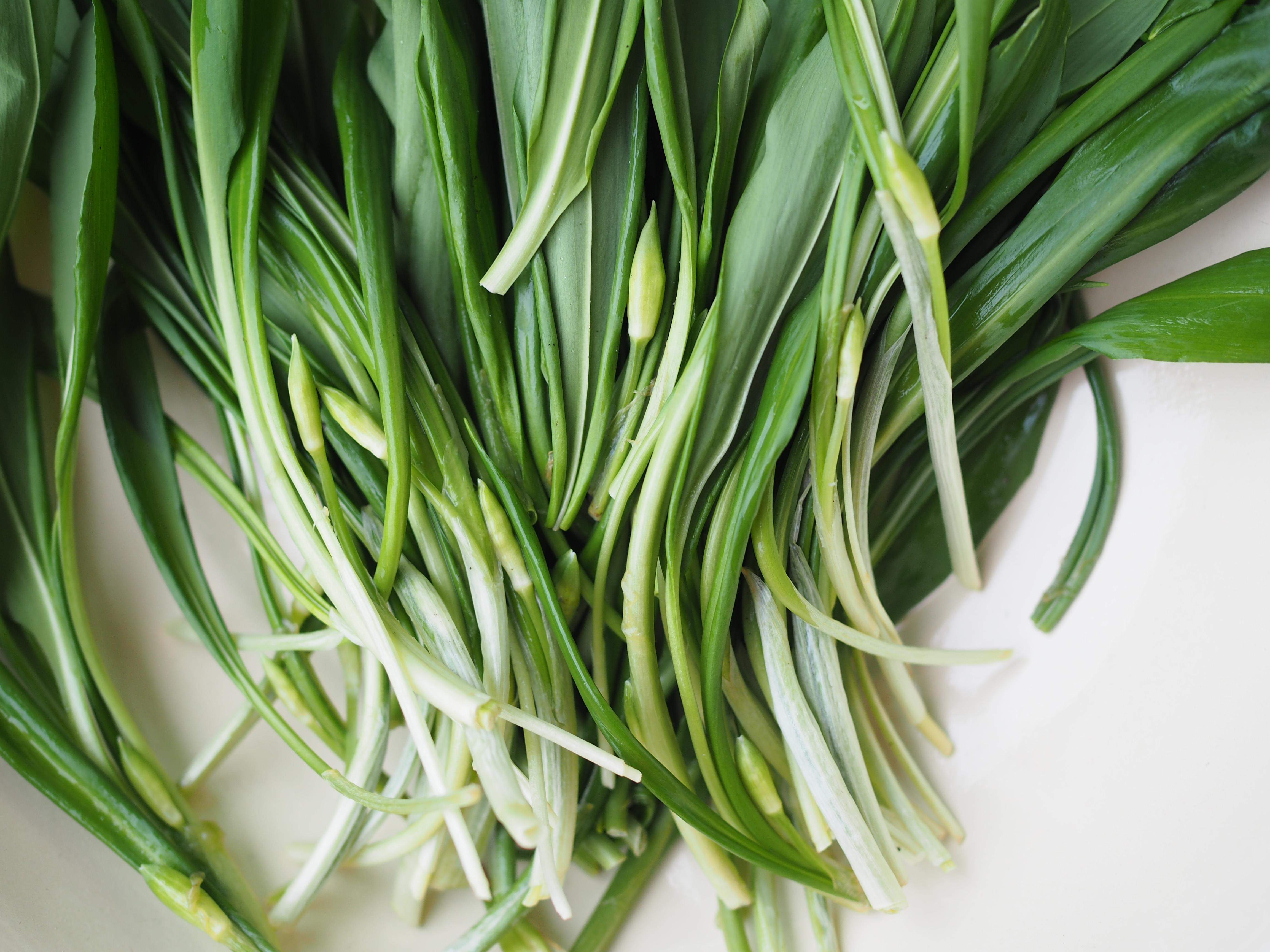 Wild Garlic – Soup and Bread with Potatoes  (Ramsløksuppe og Ramsløkbrød)