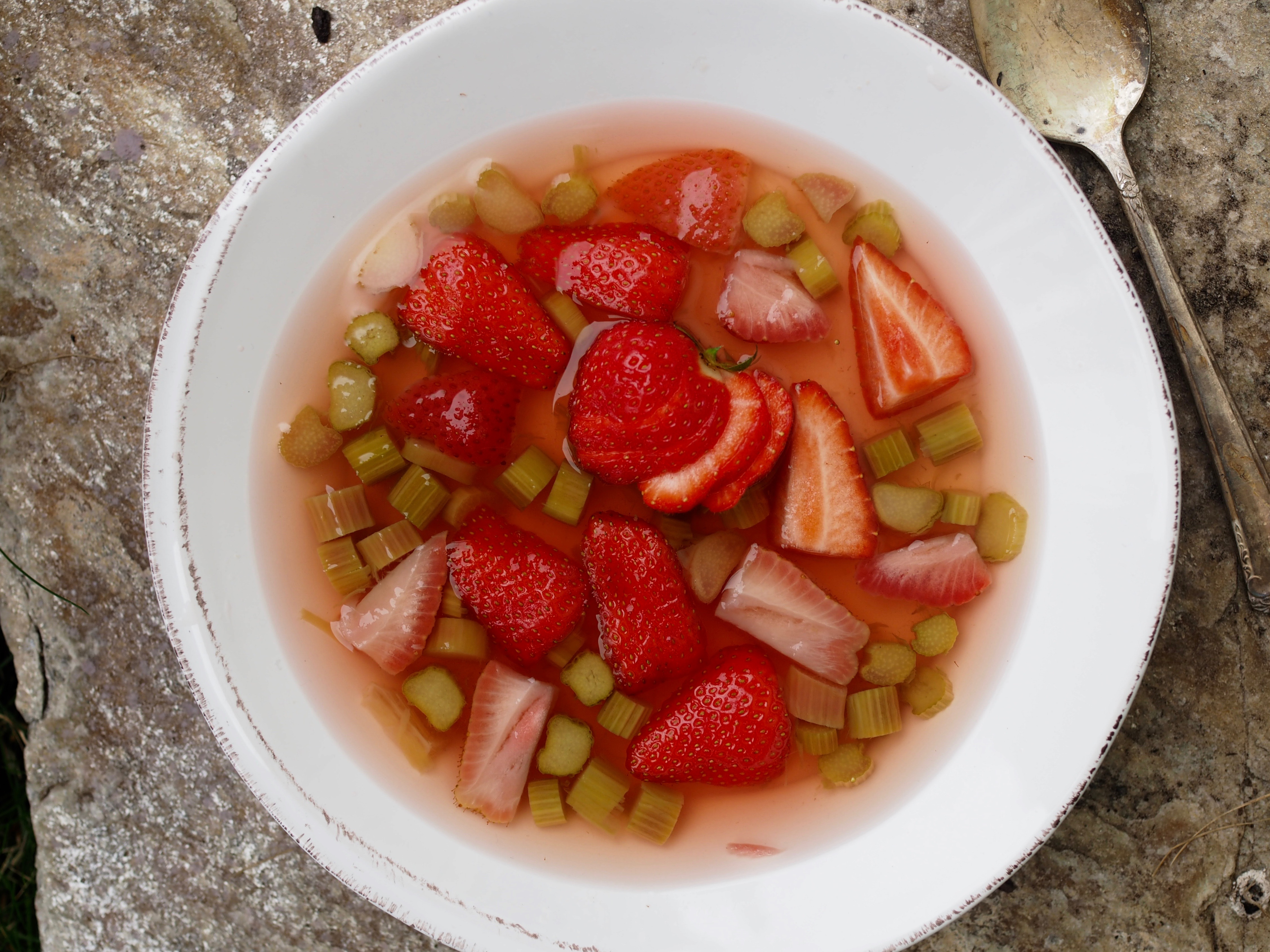 Rhubarb & Strawberry Soup (Rabarbrasuppe)