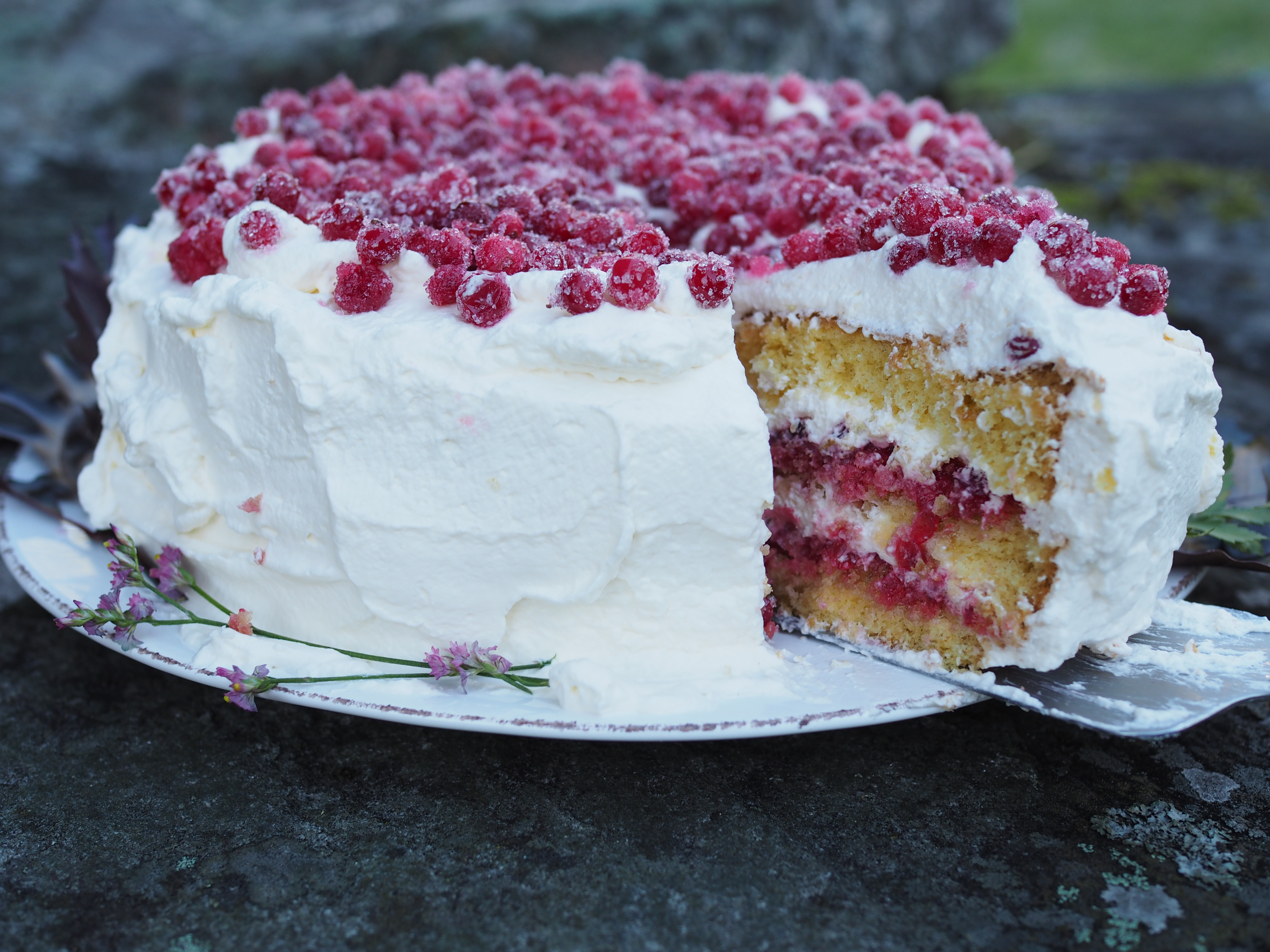 Bløtkake med Tyttebær (Layer Cake with Lingonberries)