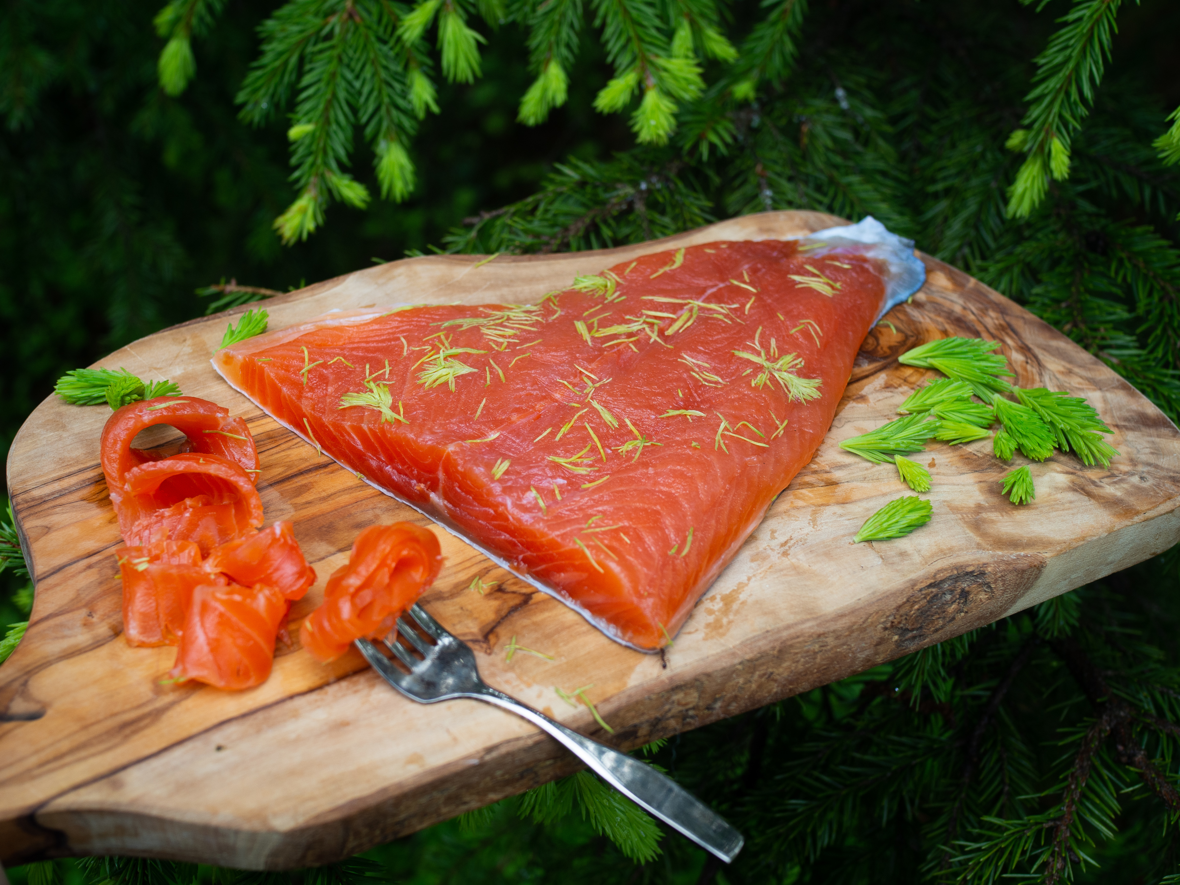 Cured Trout with Spruce Tips (gravet ørret med granskudd)